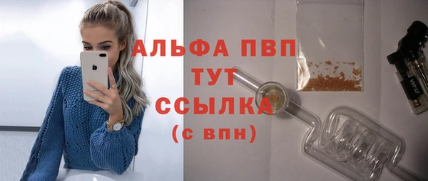 сатива Аркадак