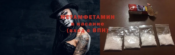 сатива Аркадак