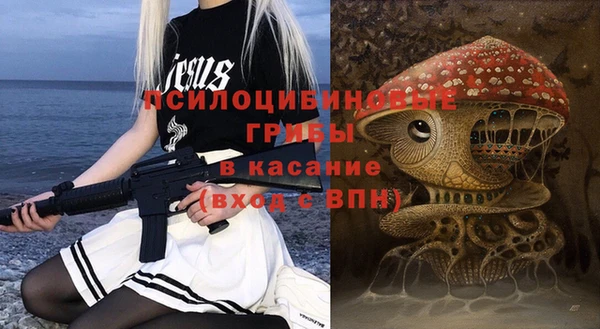 сатива Аркадак