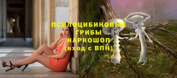 амф Арсеньев
