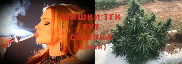 сатива Аркадак