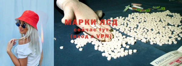 сатива Аркадак