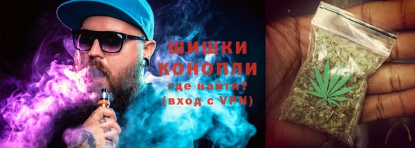 сатива Аркадак
