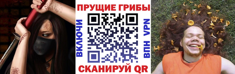 купить  цена  Черняховск  Галлюциногенные грибы MAGIC MUSHROOMS 